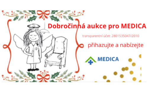 Dobročinná aukce